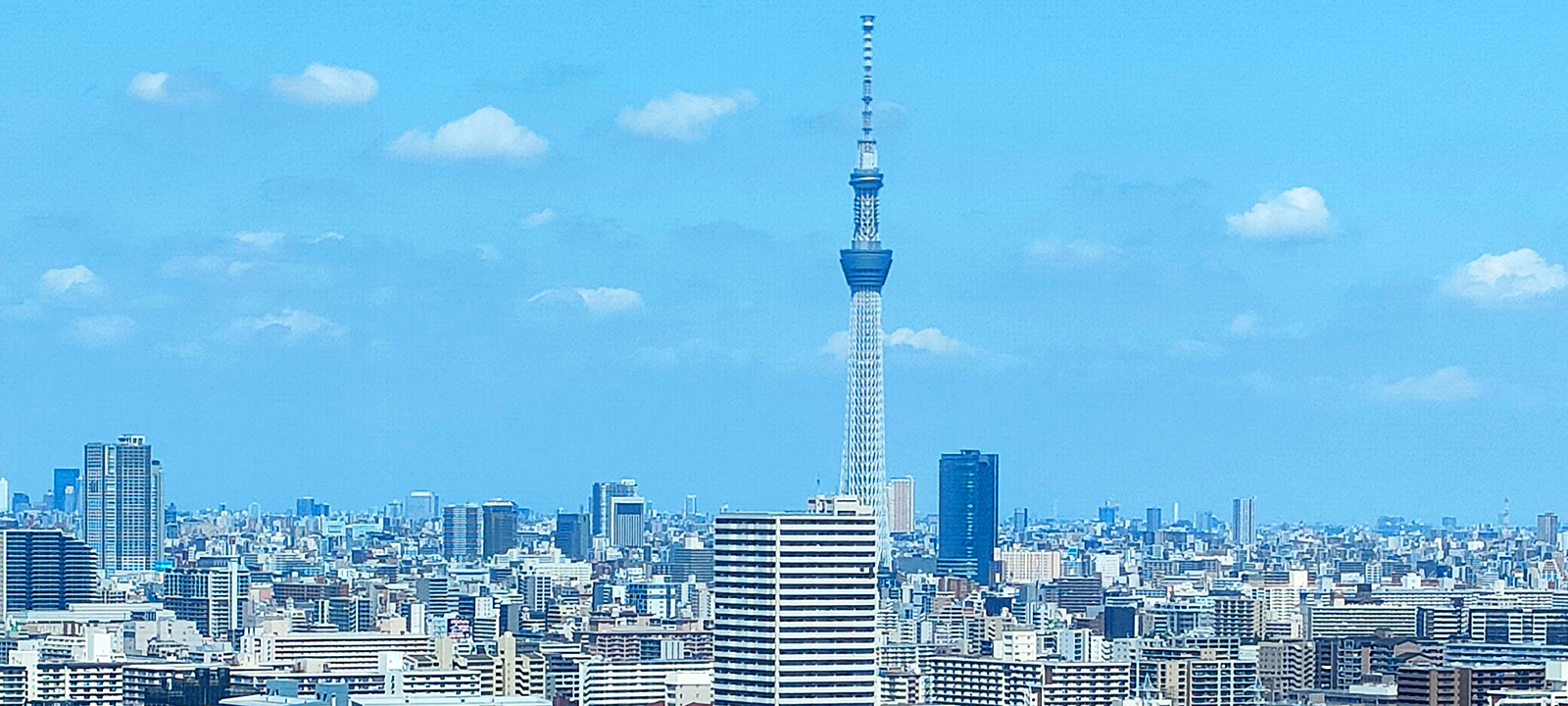 マルシェ出店の旅　その後